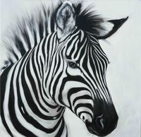 Zebra 100x100 cm